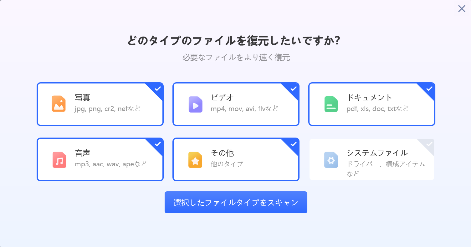 ファイルの種類を選択してチェックし、"選択したファイルタイプをスキャン"をクリック